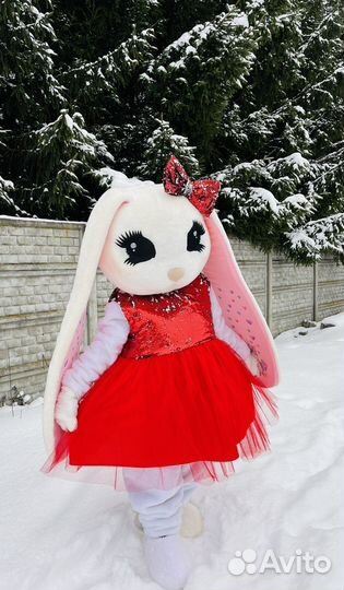 Поздравление Зайка Аниматор