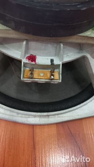 Динамик 70 гдн