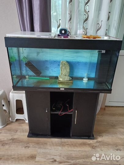 Аквариум с тумбой juwel 200л