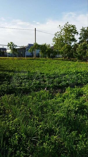 Участок 9 сот. (ИЖС)