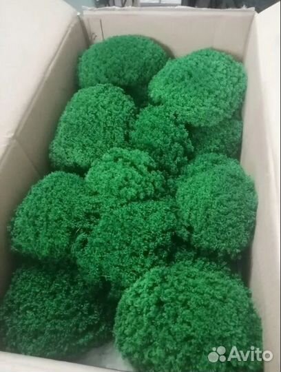 Стабилизированный мох для отделки помещений