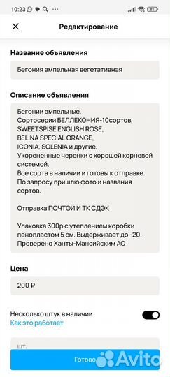 Бегония ампельная вегетативная