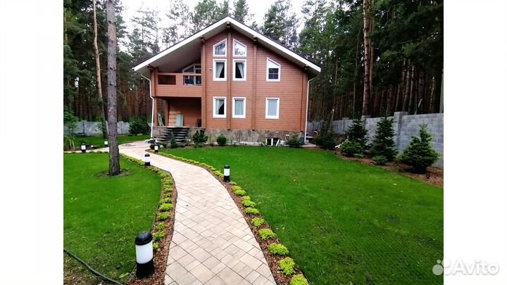 Газон посевной