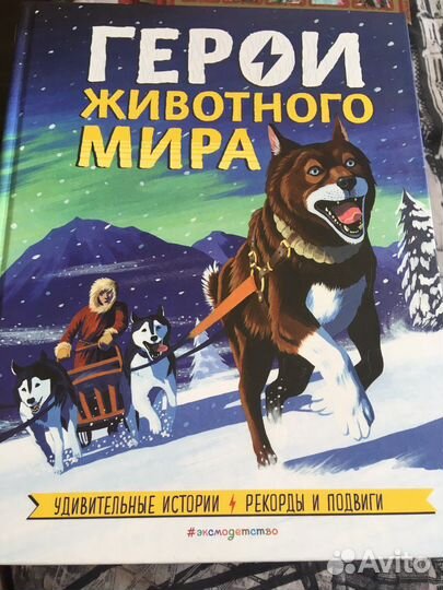 Интересные энциклопедии