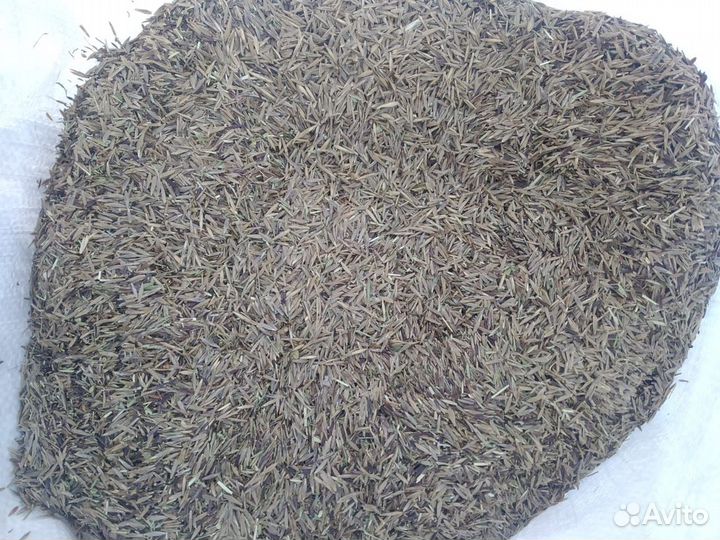 Семена Кострец безостый