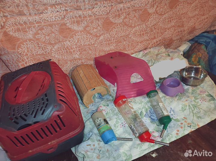 Вещи для грызунов пакетом