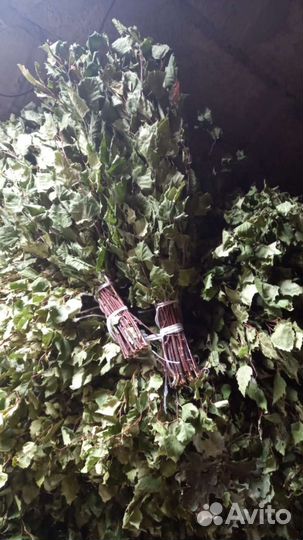 Веники для бани