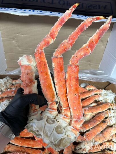 Клешни камчатского краба (Размер Л)