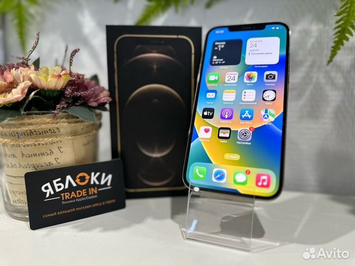 iPhone 12 Pro Max, 256 ГБ