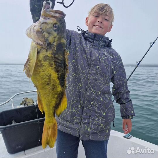 Морские прогулки на катере