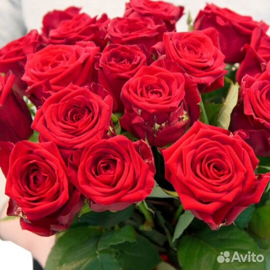 Розы Букет Роз Цветы в Иркутске