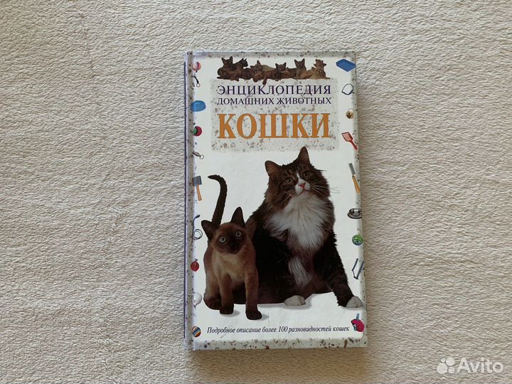 Книги про кошек