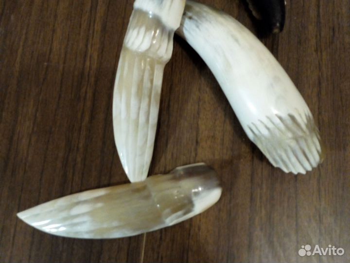 Птица Орёл декор