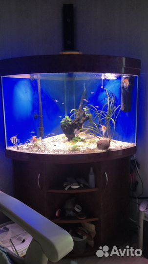 Аквариум jebo с тумбой фильтром и светом
