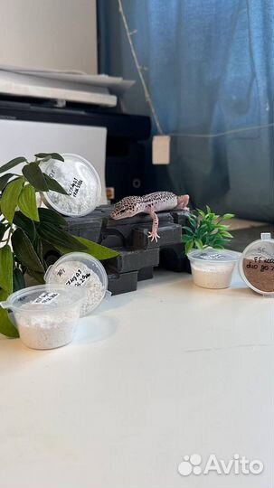 Кальций для рептилий без Д3