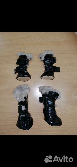 Сапожки для собаки