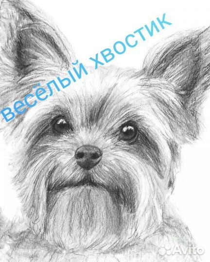 Стрижка собак