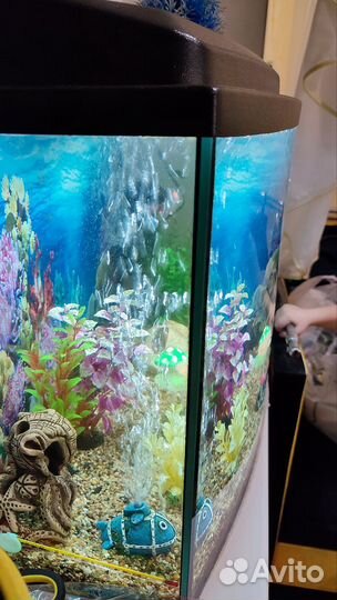 Аквариум