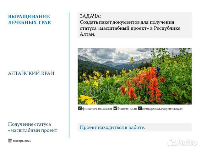 Бизнес-план Финансовая модель Бизнес презентация