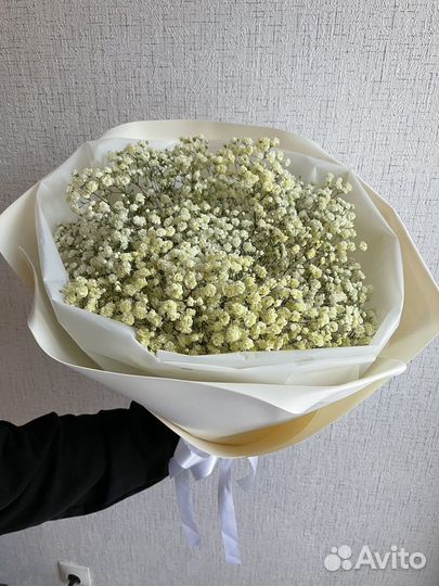 Букет Живые цветы Гипсофила Подарок