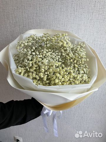 Букет Живые цветы Гипсофила Подарок