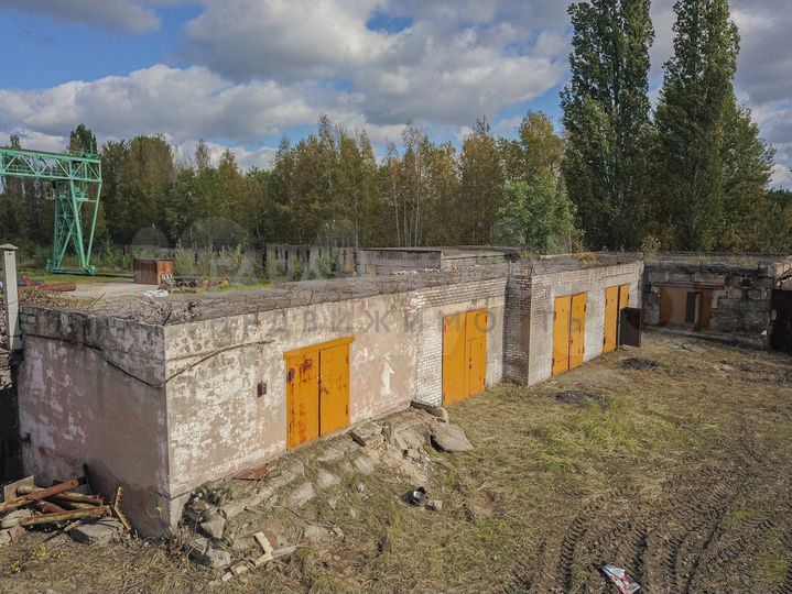 Здание свободного назначения