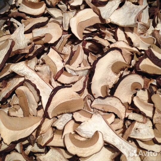 Белый гриб сушка опт