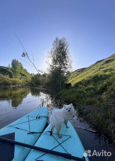 Сапборд аренда прокат сап борд Sup- board