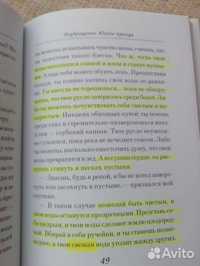 Ремерс. Возвращение юного принца. Книга