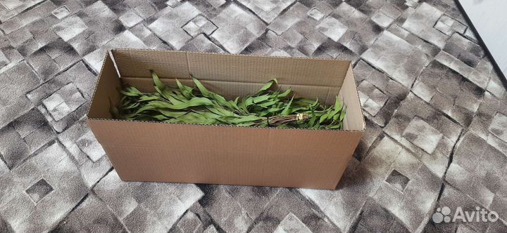 Веники для сауны и бани эвкалиптовые