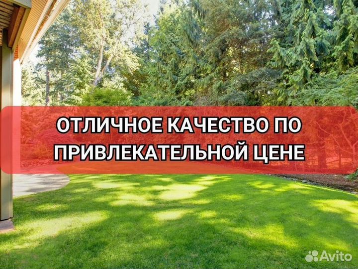 Рулонный газон/продажа/укладка