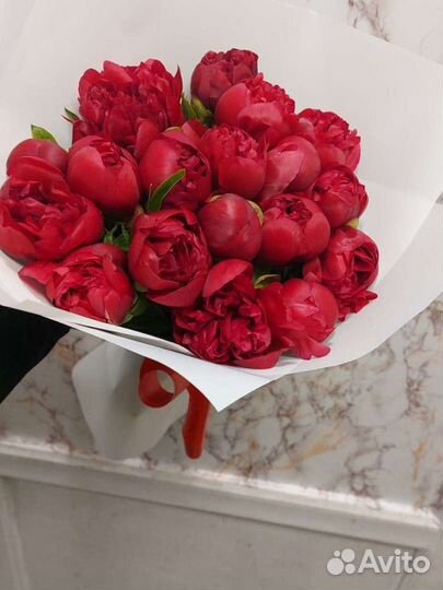 Пионы букет цветов на 1 сентября коробка корзина