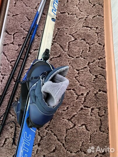 Лыжи беговые arctik larsen