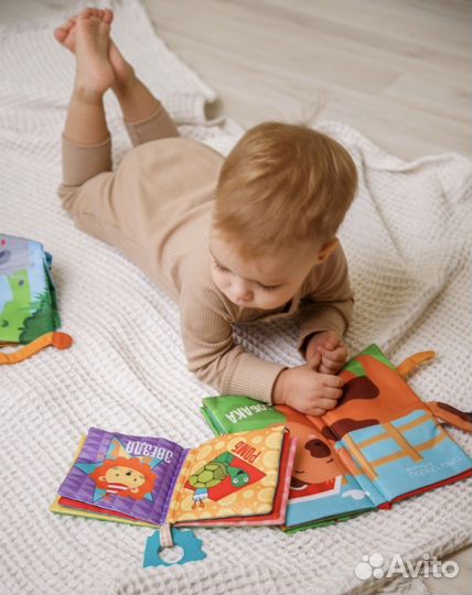 Книжка-игрушка с грызунком