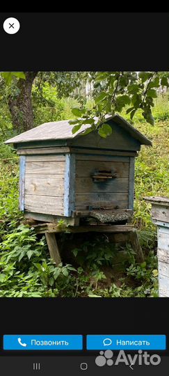 Ульи с пчелами