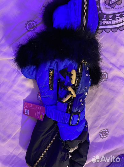 Одежда для животных