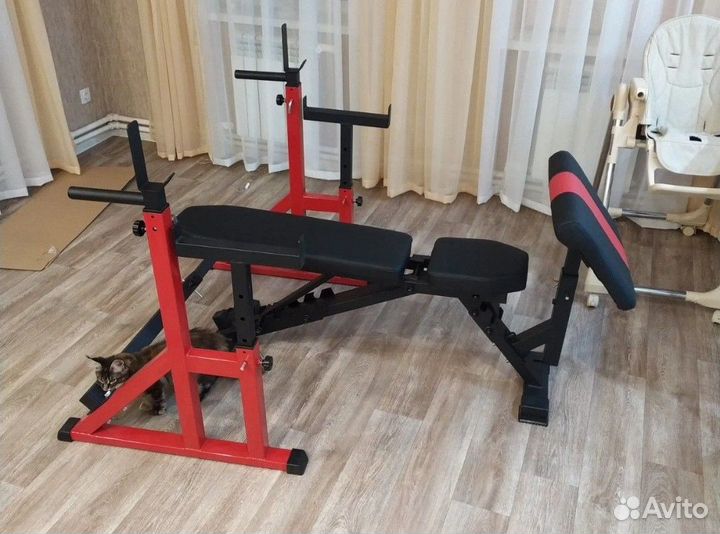 Скамья, парта Скотта + стойки для жима и приседа