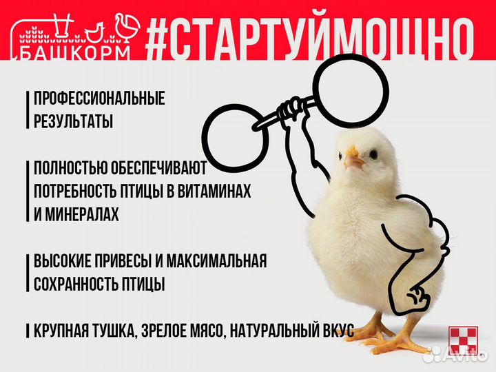 Комбикорм Пурина для птиц, крс, свиней, кроликов