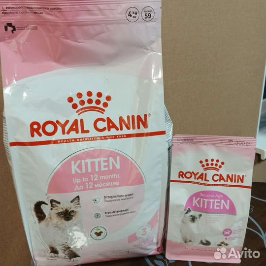 Сухой корм для котят