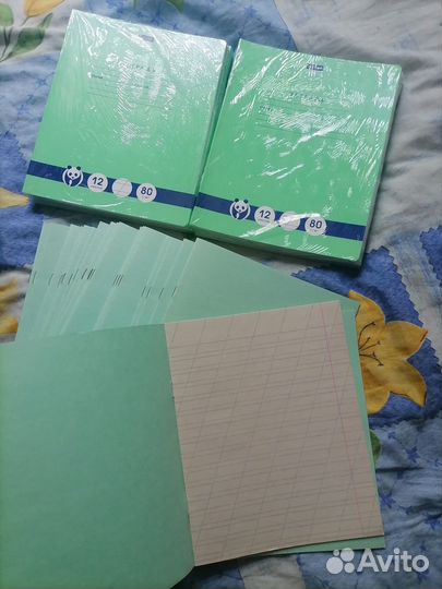 Школьный дневник и тетрадь в косую линейку