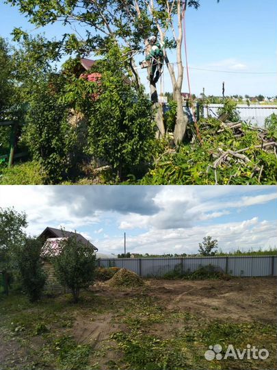 Расчистка участка