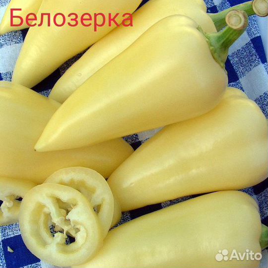 Продаю семена болгарского перца