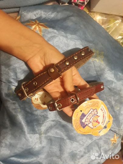 Ошейники д/собак кожа