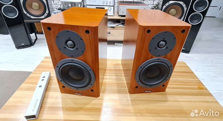 Dynaudio Focus 140 + Видео
