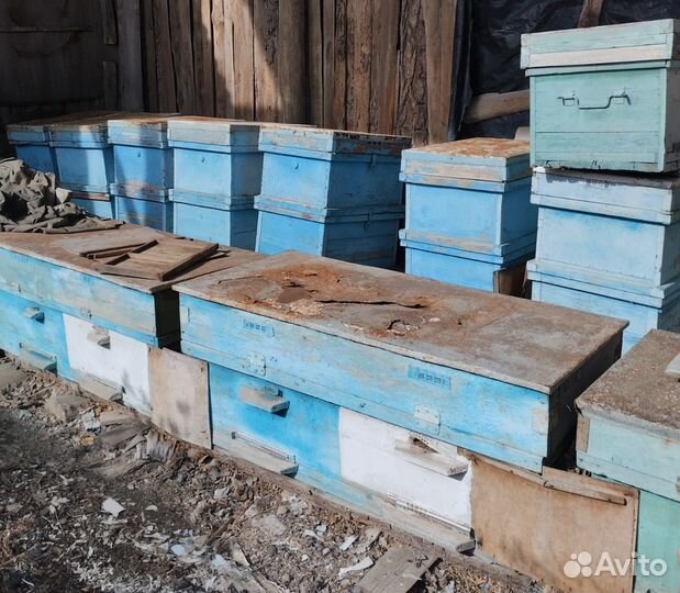 Улики для пчел