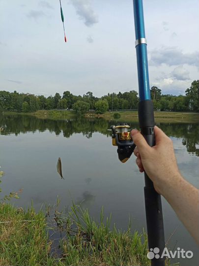 Удочка новая в сборе готовая летняя
