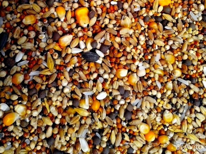 Комбикорм зерносмесь пшеница кукуруза