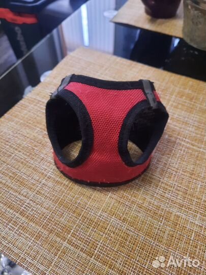 Шлейка для собак и кошек