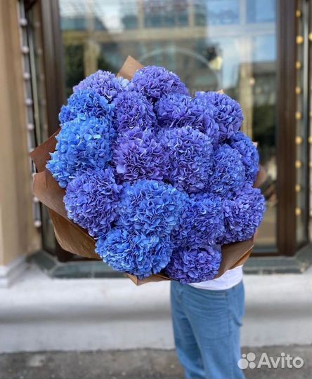 Гортензии с бесплатной доставкой