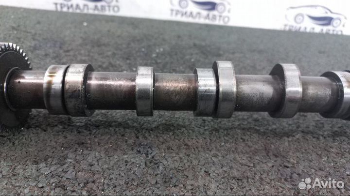 Распредвал BUG Audi Q7, Ауди Ку7